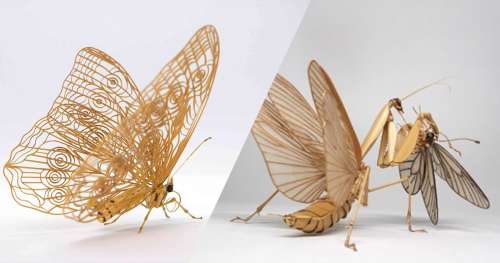 Ce Japonais crée des sculptures d’insectes criantes de réalisme avec du bambou