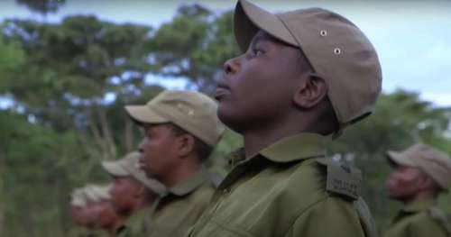 En Afrique, cette brigade 100 % féminine protège les animaux en voie d’extinction des braconniers