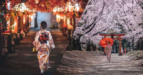 Entre traditions ancestrales et modernité : ces clichés rendent hommage à la beauté unique du Japon