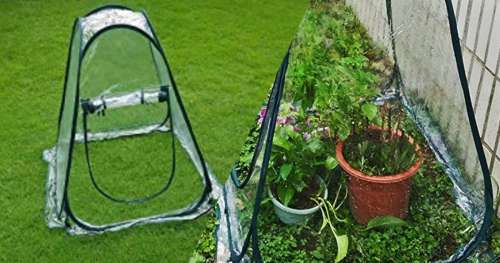 Avis aux jardiniers en herbe : cette petite serre portable protègera vos plantes des intempéries !