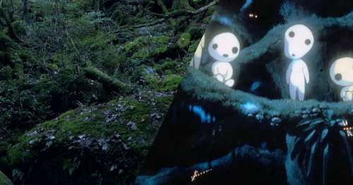 Les sublimes paysages des films de Miyazaki s’inspirent de la nature japonaise, la preuve en vidéo