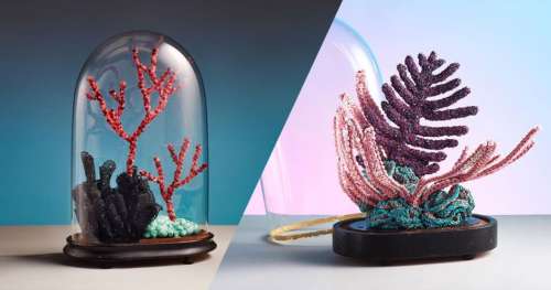 Cette Française magnifie la beauté du corail et rend hommage aux « Poumons des Océans »