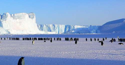 10 faits sur l’Antarctique, ce lointain continent où se joue l’avenir de notre planète