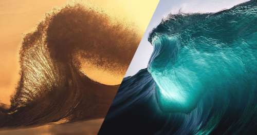 24 photographies qui illustrent toute la grâce et la puissance des océans