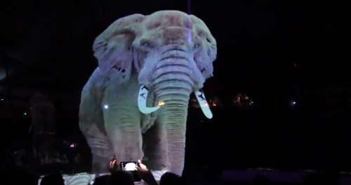 Plutôt que de faire souffrir des animaux, ce cirque les remplace avec des hologrammes