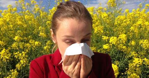 Mais pourquoi avons-nous des allergies ?