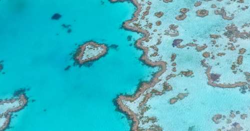 10 choses que vous ne savez probablement pas sur la Grande barrière de corail