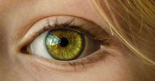 Cette intelligence artificielle de Google peut détecter 50 troubles oculaires avec 94 % de précision