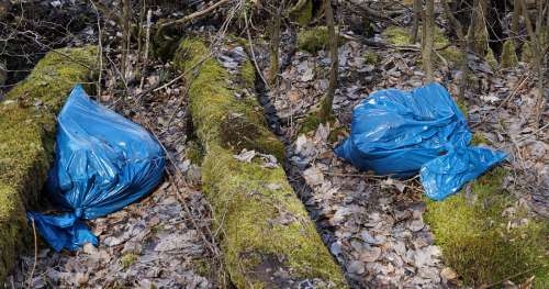 Une arnaque… Les sacs dits « biodégradables » ne le sont pas vraiment