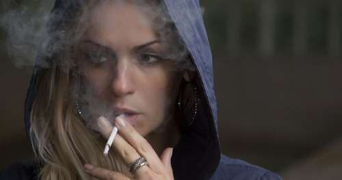 Ce tabac génétiquement modifié aiderait les fumeurs à réduire leur consommation
