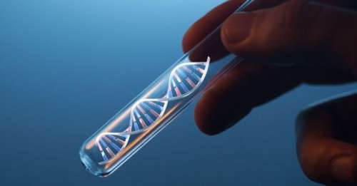 Tests génétiques : quel avenir pour la médecine et pour notre société ?