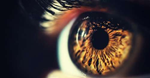 Le saviez-vous ? Vos pupilles se dilatent et se rétractent à l’évocation des mots « nuit » et « jour »