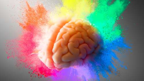 LSD, champignons hallucinogènes : enquête sur le potentiel médical des psychédéliques