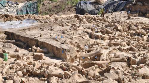 Découverte d’un mystérieux cercle d’os de mammouths vieux de 25 000 ans en Russie