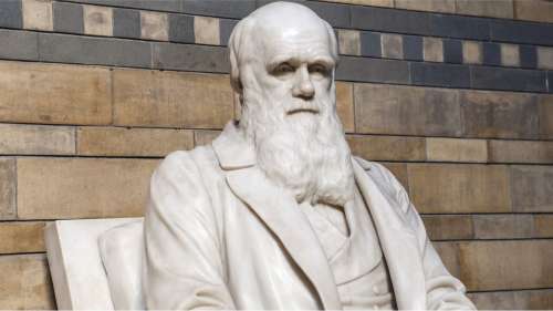 161 ans plus tard, une théorie de l’évolution de Darwin a enfin été prouvée