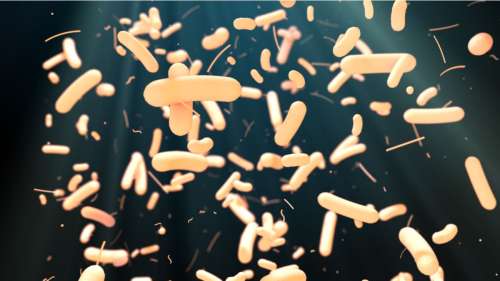Agir sur le microbiote intestinal permet de mieux lutter contre la grippe, selon cette étude