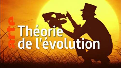 Que se serait-il passé si Darwin n’avait pas pu élaborer sa théorie de l’évolution ?
