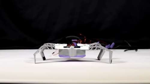 Quand l’impression 3D permet d’imprimer en quelques minutes des robots insectes