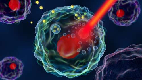 Cancer : faire croître des nanoparticules d’or à l’intérieur des tumeurs pour mieux les tuer