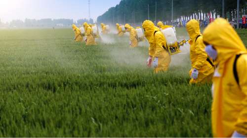 L’Union européenne autorise l’exportation de pesticides toxiques qu’elle interdit sur son territoire
