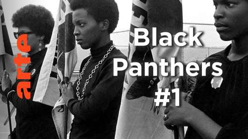 Découvrez l’histoire captivante des Black Panthers, l’organisation qui a fait trembler l’Amérique