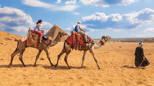 L’Égypte interdit enfin les promenades à dos d’animaux sur les sites archéologiques