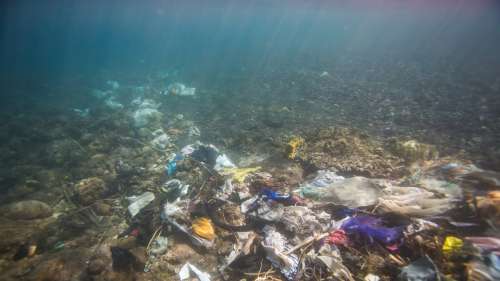 Dramatique : 14 millions de tonnes de microplastiques polluent le fond de nos océans selon une étude