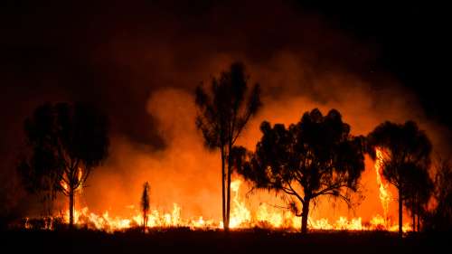 Des incendies ravagent Fraser Island en Australie, classée au patrimoine mondial de l’UNESCO