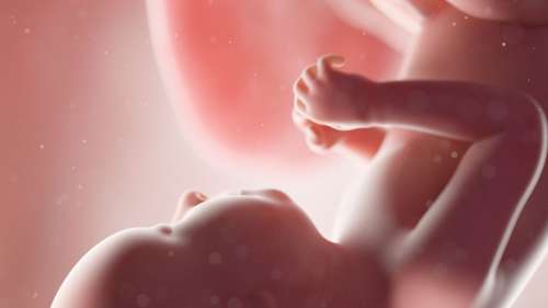Des microplastiques trouvés pour la première fois dans le placenta humain