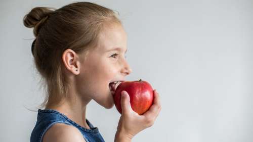 Manger des pommes stimule la production de nouvelles cellules cérébrales