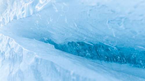 D’improbables formes de vie trouvées sous la calotte glaciaire antarctique