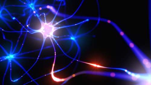 Ce réseau de neurones artificiels est capable de produire une réponse consciente