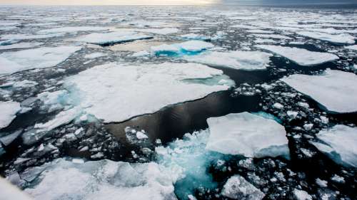 Une expédition révèle que de dangereuses « bombes de chaleur » ont pénétré l’océan Arctique
