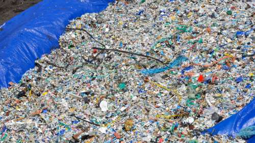 Catastrophe écologique : des tonnes de granulés toxiques recouvrent les plages du Sri Lanka