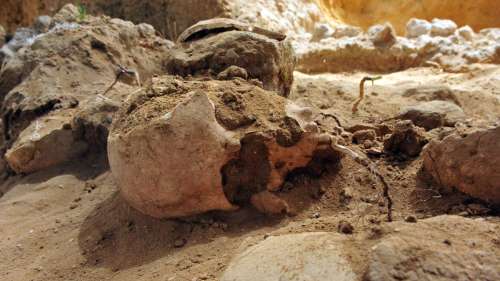 Un nouveau type d’homme préhistorique découvert au Moyen-Orient