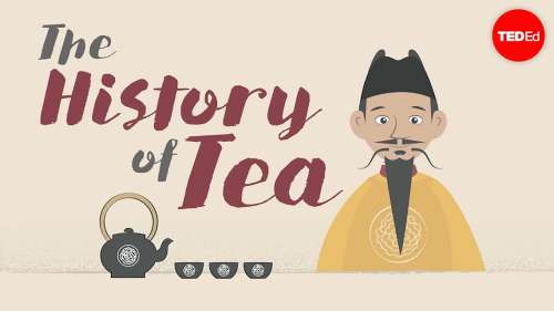 Découvrez la fascinante histoire du thé, la seconde boisson la plus consommée dans le monde