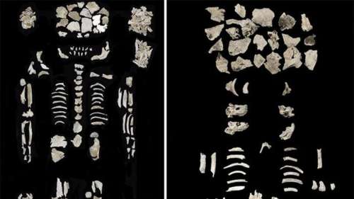 La dépouille d’une femme enceinte et de ses jumeaux découverte 4 000 ans plus tard en Hongrie