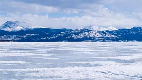 Le changement climatique menace de réveiller d’anciens virus en Arctique