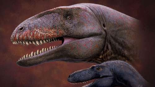Il y a 90 millions d’années, ce dinosaure massif à dents de requin terrorisait les tyrannosaures