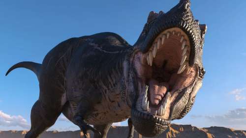 De nouvelles analyses fossiles suggèrent que les T. rex étaient de grands bagarreurs