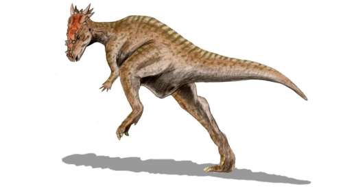 Le saviez-vous ? Il existe un dinosaure dont le nom signifie littéralement « roi-dragon de Poudlard »