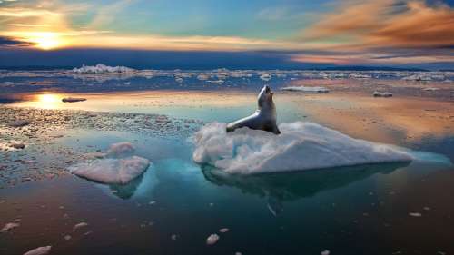 Le Groenland perd désormais 357 milliards de tonnes de glace par an