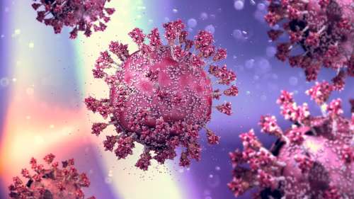Covid-19 : les scientifiques découvrent des anticorps capables de neutraliser Omicron