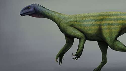Ce minuscule ancêtre du gigantesque Diplodocus se déplaçait rapidement sur deux pattes