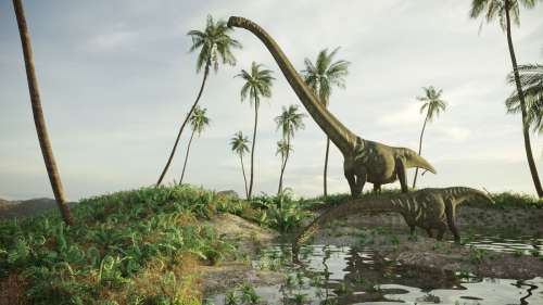 Des paléontologues identifient une nouvelle espèce de dinosaure à long cou