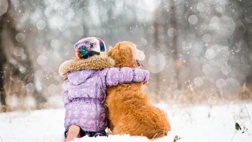 Une fillette de 10 ans survit 18 heures dans un blizzard en Russie grâce à un chien errant