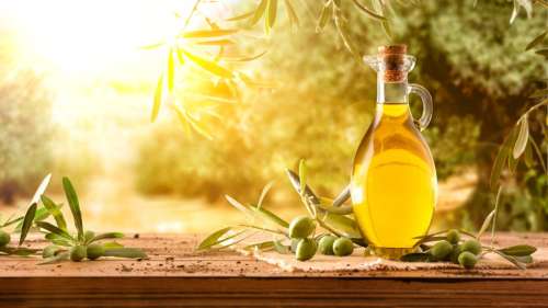 La consommation d’huile d’olive liée à une réduction significative du risque de mortalité