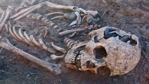 Découverte des restes d’un cheval décapité et d’un cavalier dans un cimetière médiéval