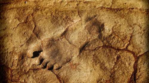 Ces empreintes suggèrent que des enfants sautaient dans des flaques d’eau il y a 11 500 ans