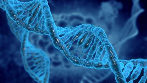 Des chercheurs ont enfin cartographié l’ensemble du génome humain